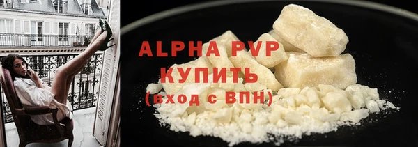 прущие грибы Нея