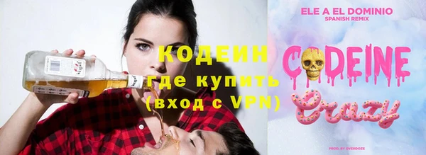 прущие грибы Нея