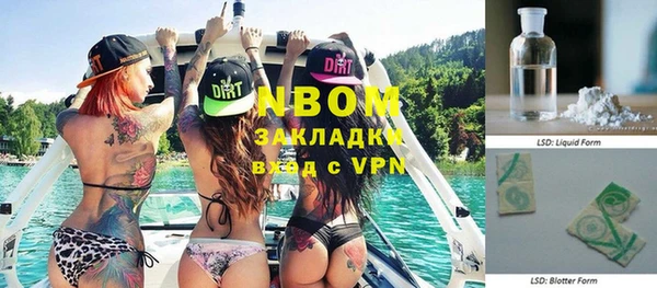 прущие грибы Нея