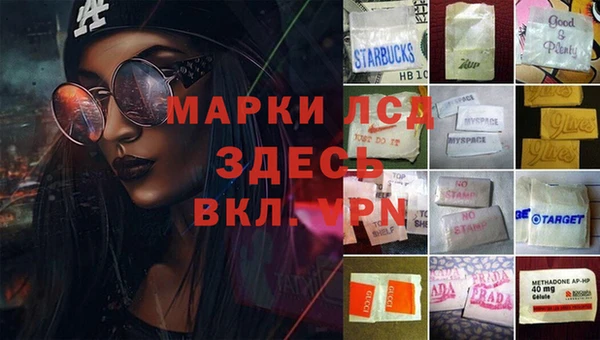 прущие грибы Нея