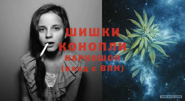 прущие грибы Нея
