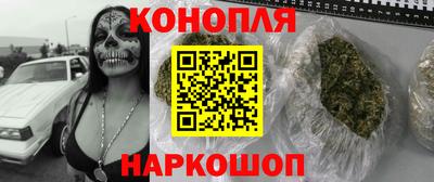 шишки Заводоуковск