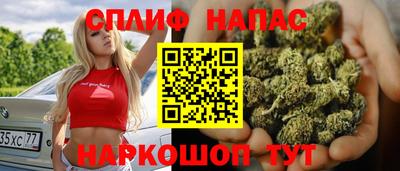шишки Заводоуковск