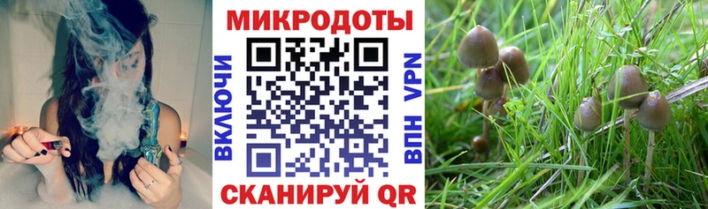 Галлюциногенные грибы GOLDEN TEACHER  Армавир 