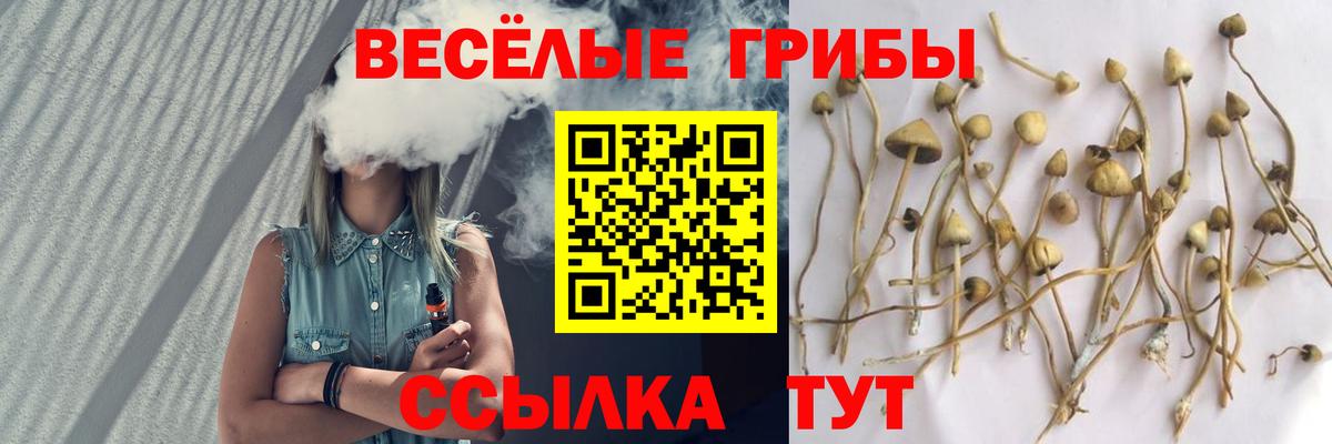Каннабис Армавир